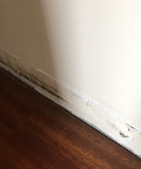 ȫ�ݵ��߽��ߴ󲿷ַ�ù�ˣ���������ôԭ��