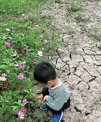 ���޶�ȥľ������ɣ����û�뵽ľ�����������ô�ó�