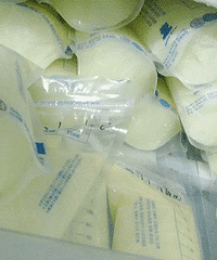 Ҫ̵ûƽ⵼²̫࣬䶼װ