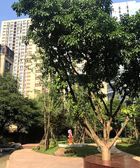 ����Դ������80ƽ��ʽװ�޼�¼