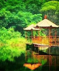 ̫ⷿӴ޶ҶҵķϢ