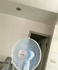 ǰ38ȣҶֵıֵңطȡ