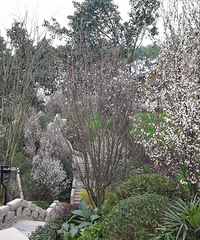 ���޴򿨴����ں�ֹ�԰��ƽ���˳�ӵ���Ĵ����ڻ�����һ�����