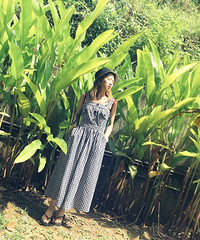 ����ȹ����������ȹ�����������ϲ������