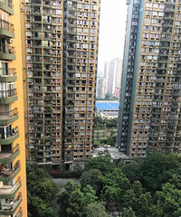 ��ƺ����·Ƭ��ѡ���ַ����㽨��ѽ��