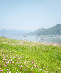 �Ĵ�������ɭ�֡��ӽ֡���������pick��һ��+���������޵���