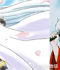 你们更喜欢犬夜叉还是杀生丸?