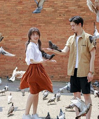 新婚小夫妻的泰国旅拍婚纱—曼谷,清迈,苏梅岛,涛岛