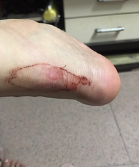 СckһڣѽŴˡ339˫Ь