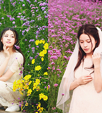 打卡照母山花海,乡村版普罗旺斯