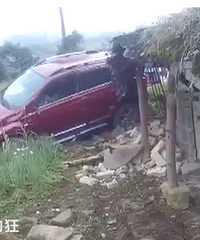 ����ԽҰ���е�Ұ����Ȼֱ�ӳ�����Χǽ