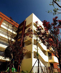 ������������СѧУ2018��������Χ����ЩС����Ƭ������