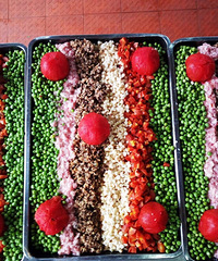 ׶԰췹޶ǶԵúÿģʳӴ