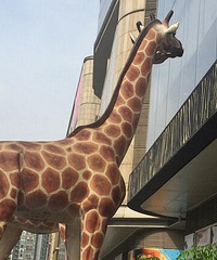 曾经大火的zoo咖啡也不火了