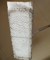 �����²������Ѿõ����������Ч������û��ʧ��