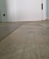 ŷ̫СŹزϣǲǰװΣ