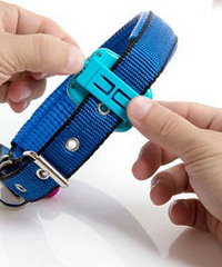 ڻ̫ˣ޶1ϲܣƼЯĶλ