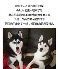 �Ǹ��������Ȧ�ĵ���������ȻҪ����ˣ�