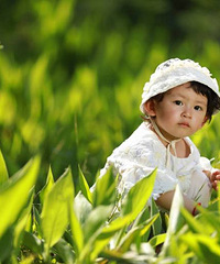 ��һ�������յİְ��Ǹ�ʲô���飿���е���Ƭ�����Ƭһ��