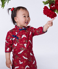 ��������Ʈ���������ɻ����ĵ�������