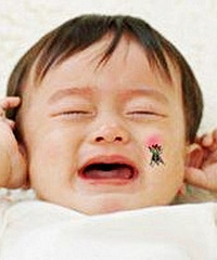 ޶׶԰ҧͷô죿˲ȥѧɶ취