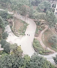 老哥们这是串串么?