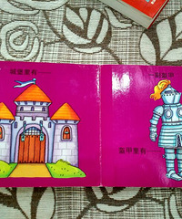在少年儿童图书馆借的书,妈妈们帮忙看看这是啥子