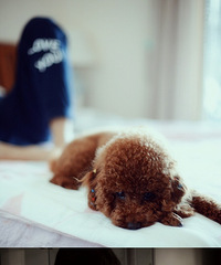 ��֤ǰ����ʱ��Ѫ�������˸��ģ���¼����һ��������һ��һ��