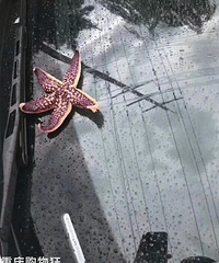 重庆下雨就下雨,看看其它城市,没错,青岛在下海鲜