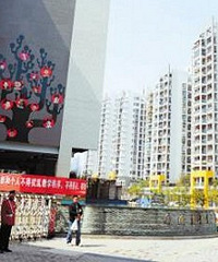 ͬΪ죬´ͬѧУ³ܰĸã