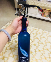 网红起泡酒好喝有好看