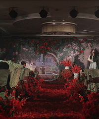 �ո߲���3�׵�Ű�ľƵ꣬Ҳ�ܴ�����������������ͻ������