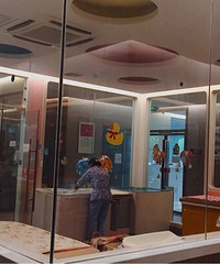 ���ĵĽ�ܽ���������ģ�