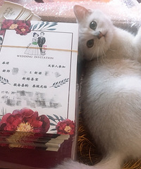 �ո��յ�ӡ������������ʵ����̫ϲ���ˣ�ͼ�����������ֻ���Ӵ