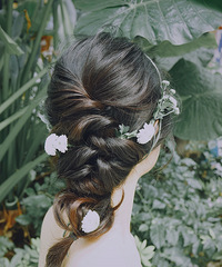 û����������ױ������Ȼ���������������׵��˻�ɴ��