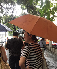 ����ֱ���´�ͬ��Сѧ������