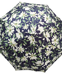 ˫СɡŹļ۸͵ĳֱӱס