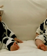 �Դ����ݼҵ�˫��̥���Ҽ�ˣ֮���ҾͲ���Ľ˫��̥�ˡ���