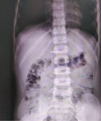 ޶½룬þμʱЩҪźã