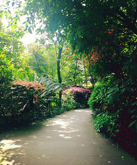 ׼޶ȥˮˮ޶Ԥ뷽㲻Ӵ