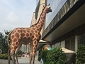 这家咖啡店没落了?