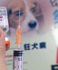 Ҫ´粻޶մȮ磬ͱĳ