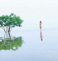 打卡主城新晋网红地,拍照效果超级美