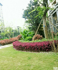 쿴ǴͬǵԼ۱ȵ¡λķ