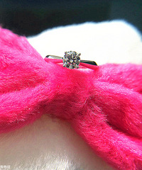 �ó��͵ļ۸������ִ���������䣬�²��ҵ��׻��˶���Ǯ