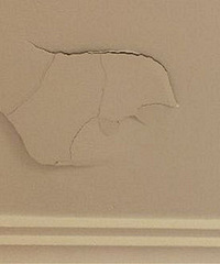 Żˣ¥ھʩҼݶ˻ʣ֧У