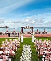 ����ֵ����ʥ�أ�С�������ʱ��ʼ���ֹ滮��ķۺ�����֮����