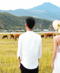 ̫������������������������е�һ�����»�ɴ��