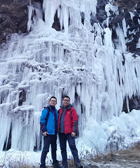 81ҽҩҵĸ飬ĸǹӪλ