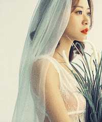 һ黳ɽƬʸе˽գƬϲ